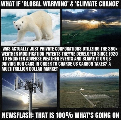 ItsPerryXD tweet media