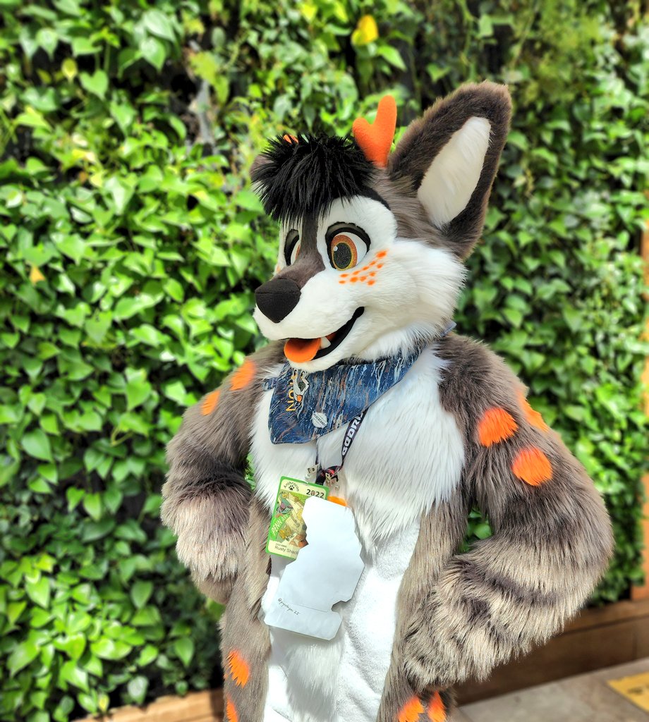 Coal_Dog's tweet photo. Unfortunately had to work today but anthrocon was fun! Safe Travels to those leaving today and tomorrow. https://t.co/pApPGmSAOs