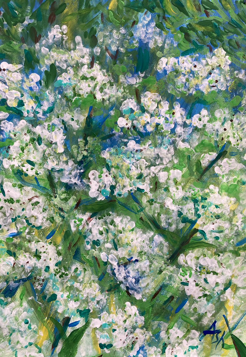 I love Ammi Majus, it’s simply beautiful. I’ve painted this today, as part of Cambridge Open Studios.  Thank you so much for taking the time to support the 340
Artists involved. My next open studio is Saturday/Sunday 10-5pm 16th/17thJuly. Yeh baby ! X #ammimajus #meadowflowers