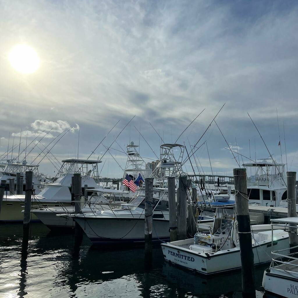 paulaguinto's tweet image. Grateful to be able to take days as they are when the only decisions we need to make fit some kind of either/or: beach or pool? eat or nap? left or right? run or rest?  #summer #whereisluca instagr.am/p/CfjcZL3Oyzj/