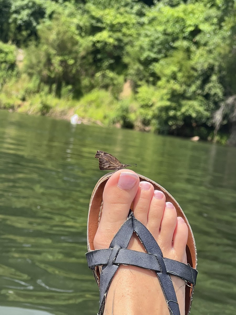 Even the butterfly knows my toes are so cute ✨ • findom femdom footfetish feetpics feetcontent prettyfeet goddess domme •