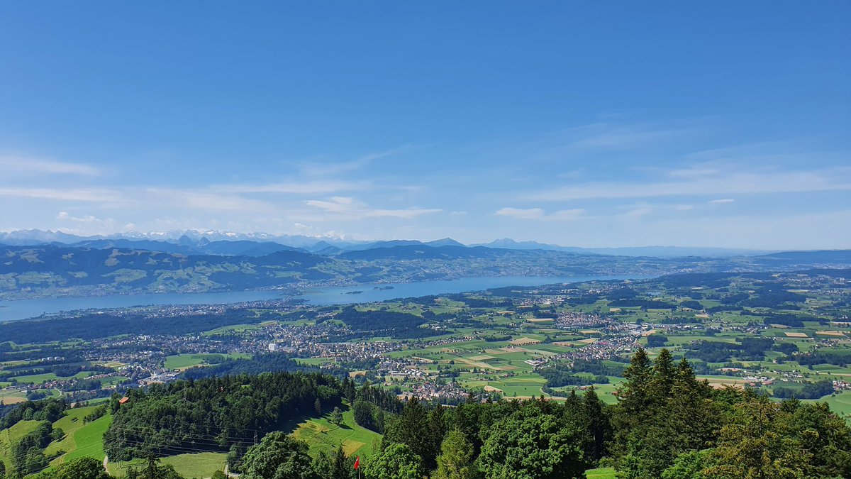 DerGeldexperte's tweet photo. Auf der heutigen Biketour entstanden.
#Schweiz #Zürich #Bachtel #Hüttchopf #Tössscheidi #MTB #Mountainbike https://t.co/Vm8Ghs0Sqr