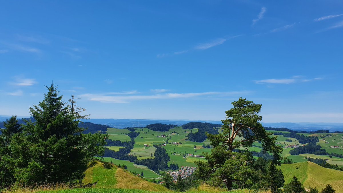 DerGeldexperte's tweet photo. Auf der heutigen Biketour entstanden.
#Schweiz #Zürich #Bachtel #Hüttchopf #Tössscheidi #MTB #Mountainbike https://t.co/Vm8Ghs0Sqr