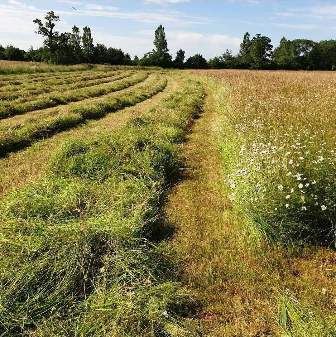 Top quality species rich  wildflower hay available for sale. About 300 round bales. Hard to find hay as diverse as this for bale grazing and for bringing in new meadow species. From a SSSI. Worcestershire. Please RT 🙏🏼