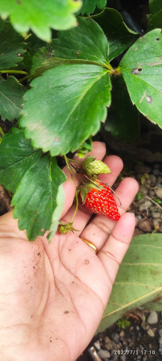 vhe uequecyhee ☘️ tweet media