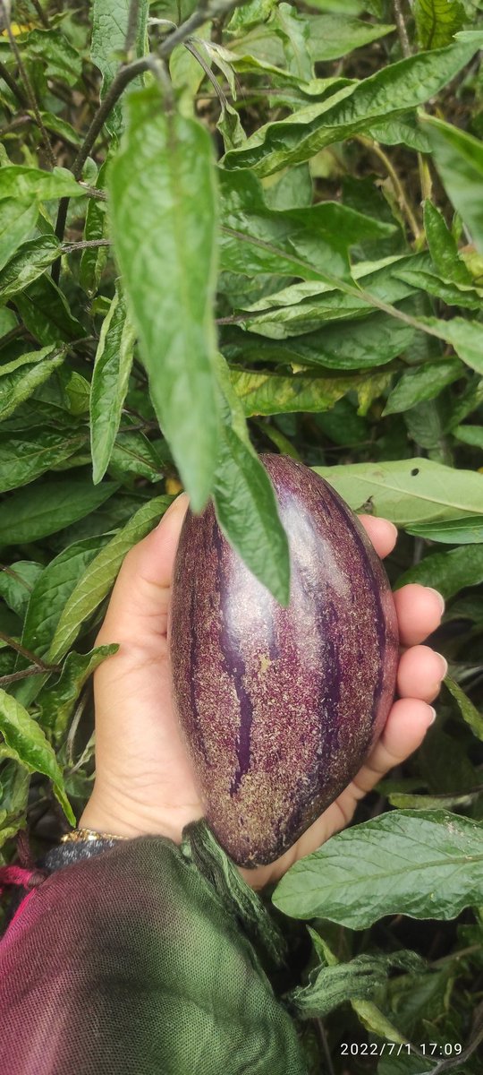 vhe uequecyhee ☘️ tweet media