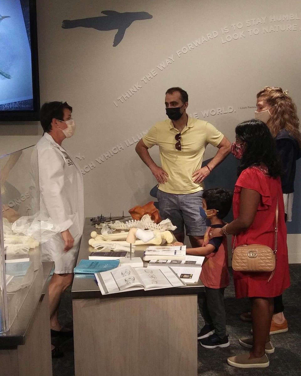 Welcome <a href="/UHhospitals/">University Hospitals</a> Dr. Christina Hardesty to Current Science!

Dr. Hardesty works in #Orthopedic Surgery at <a href="/UHRainbowBabies/">UH Rainbow Babies</a>. Visit our #CurrentScience studio today to say hello, explore 3D bones, and create a plaster cast! #goCMNH