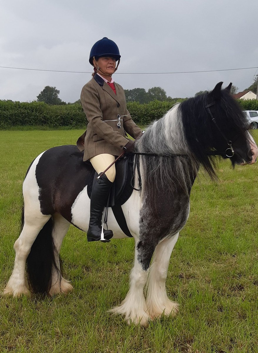 Karen62465819's tweet photo. Loving my Equetech Launton tweed jacket & Equetech tie & scrunchie.
@equetech
#Equetech https://t.co/1OvlaovR2P