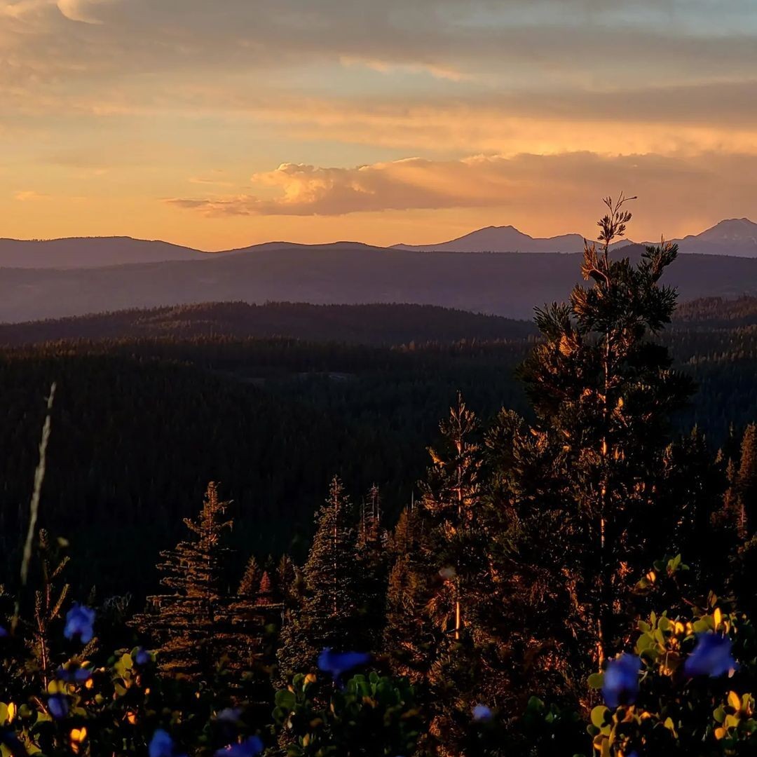 explorebutteca's tweet photo. Spend some time this long weekend taking in the views across Butte County.

📸 tay.vanlobensels/IG, mpjchico/IG
 
#ExploreButteCA #BUTTEiful https://t.co/eTYLGBGsvE