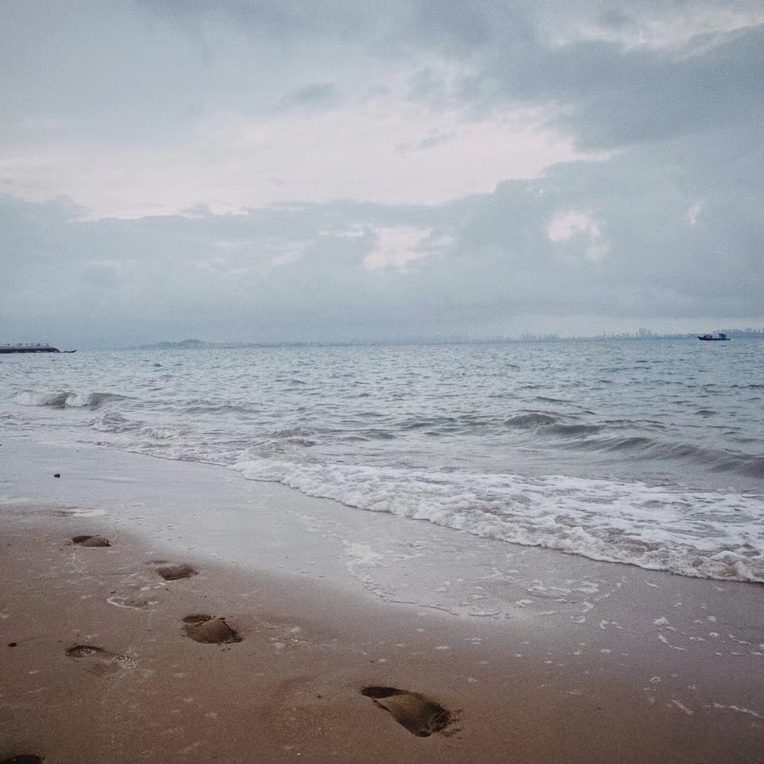 陆止于此🌴
海始于斯 🛥 https://t.co/rJOX5A3ry0