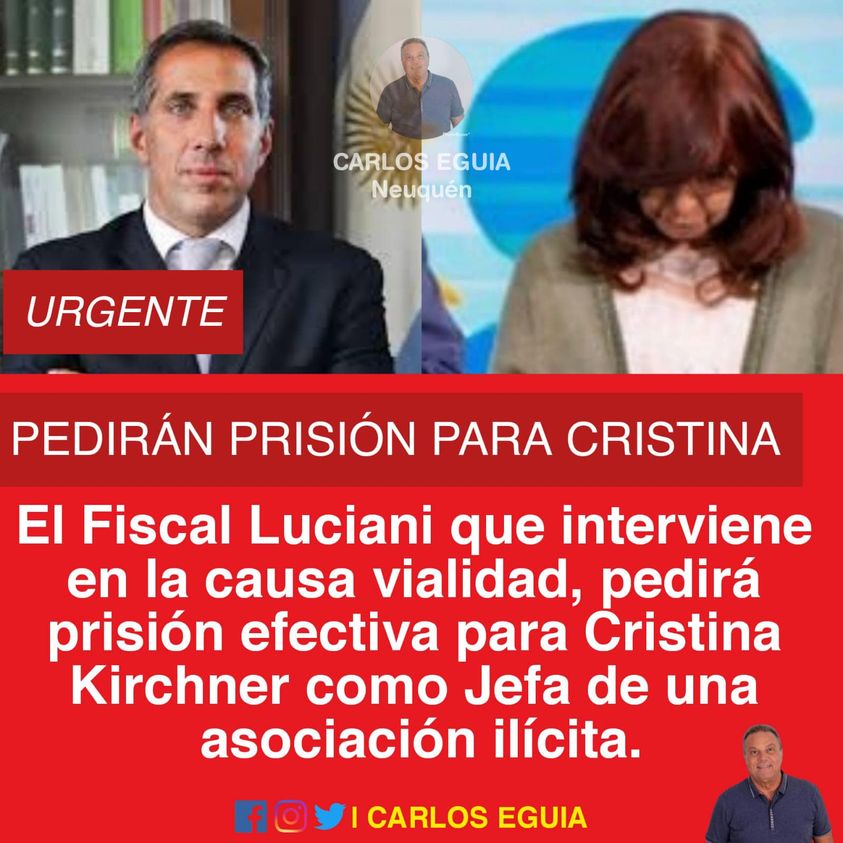 GustavoIbáñezPadilla tweet media