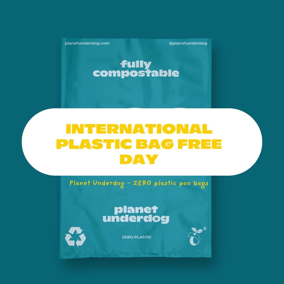 planetunderdog tweet media