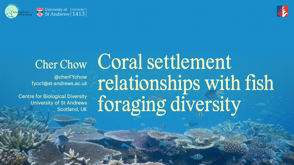 I know you've got 5 PDF tabs open deciding what to catch this week.

Come to mine on Wednesday at Kaisen Saal @ 11:45! 🤓 I'm going to talk about fish foraging diversity and its relationship w coral spat.