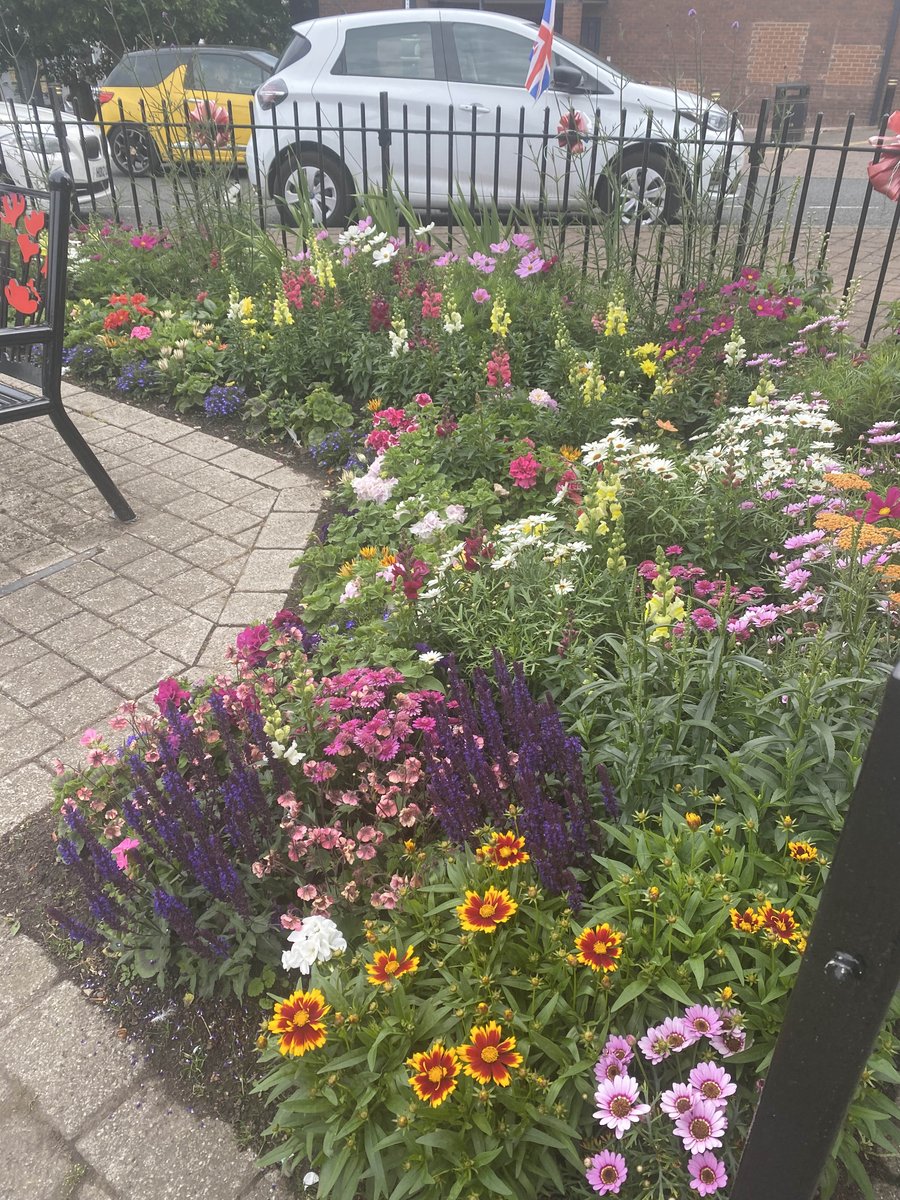 A BIG thank you to volunteers looking after plants on Southwick Green. The flowers look amazing 🤩 

#Southwick #LetsTalkSARA #SARAsouthwick