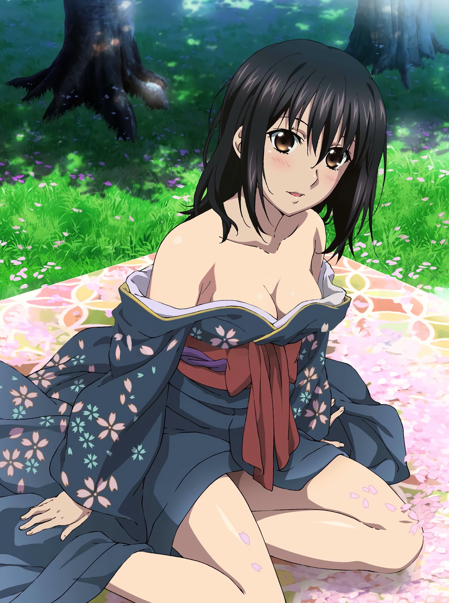 Strike the Blood Second (Anime) –