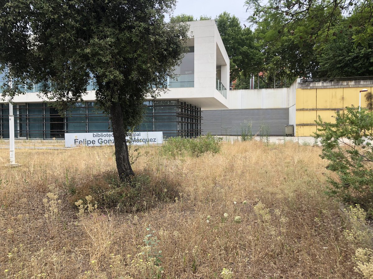 RInchausti's tweet photo. Hola @Ayto_Sevilla, Sr. @antoniomunozsev:
El estado de abandono y descuido del espacio de la biblioteca Felipe González Márquez es total. Me pregunto como se puede llegar a este nivel de pasotismo; menos mal que no se llama biblioteca Manuel Fraga Iribarne…
@EmergenciasSev https://t.co/DzzNFNwylZ