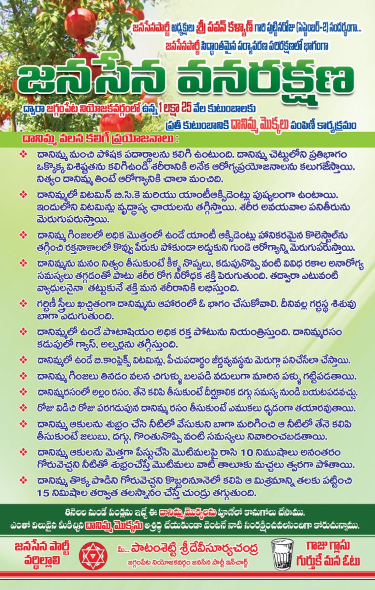 Psuryachandra99's tweet image. @JanaSenaParty అధ్యక్షులు శ్రీ @PawanKalyan గారి* పుట్టినరోజు సెప్టెంబర్ 2 సందర్భంగా #జనసేనపార్టీ సిద్ధాంతమైన పర్యావరణపరిరక్షణలో భాగంగా🌱జనసేన వనరక్షణ🌱 ద్వారా జగ్గంపేటనియోజకవర్గంలో ఉన్న 1 లక్షా 25 వేల కుటుంబాలకు దానిమ్మ మొక్కలు పంపిణీ కార్యక్రమంనకు మొక్కతో పాటు ఇచ్చే పాంప్లీట్
