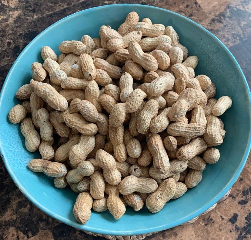 Happy Sunday, peanut lovers! 😋

Enjoy this wonderful 📷 captured by @foodfitfaith via Instagram. 🥜

#VirginiaCarolinasPeanutPromotions #VirginaCarolinasPeanuts #NCgrown #NCpeanuts #InShellPeanuts #peanutfarm #peanutlovers #peanutplanting