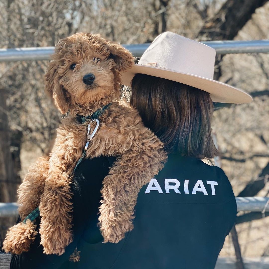 Dogs and Ariat make a great pair. #Ariat

PC: IG @ oxford_the_dood