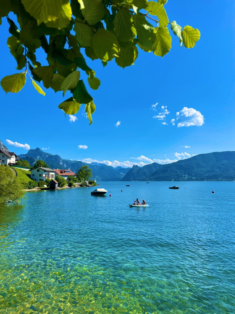 Rainer Hosch tweet media