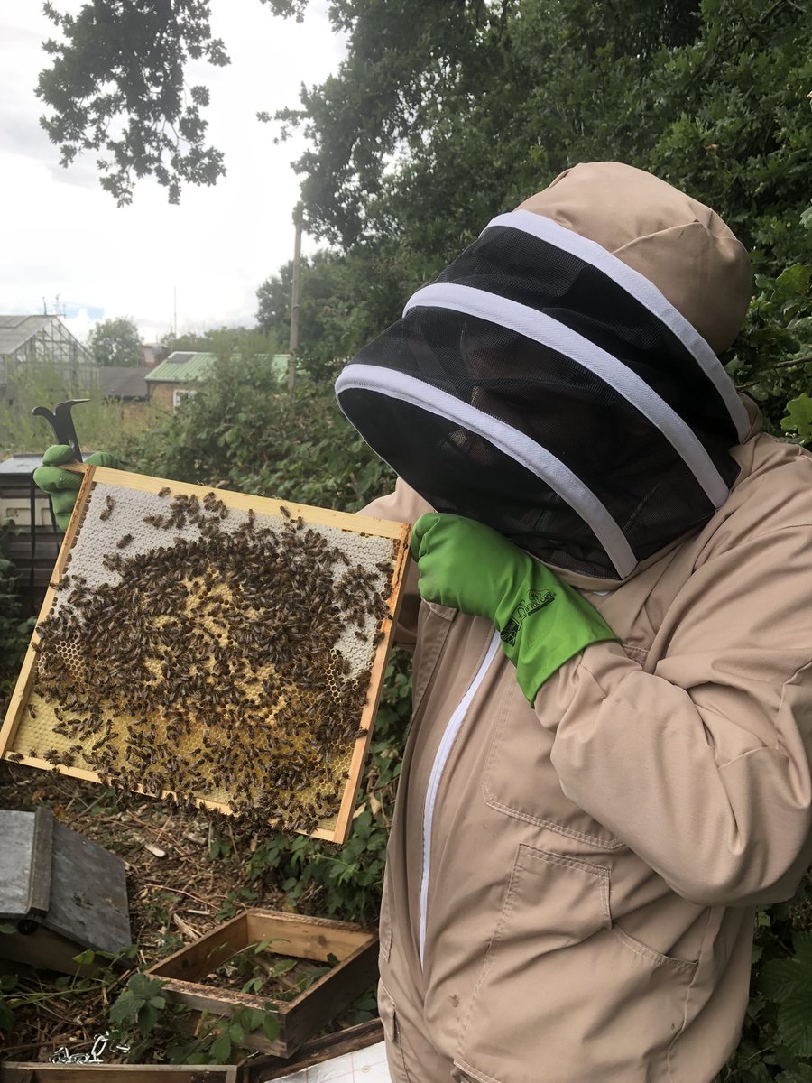HighgateHoney's tweet photo. Sam came to give me a very welcome hand with the bees last week.
He just started beekeeping this season and has completely thrown himself into it - itβs great to be part of his journey!
#newbee #londonhoney #beekeeper #localhoney #honey #honeybees #assistant #hiveinspection https://t.co/pHtilPBWYi