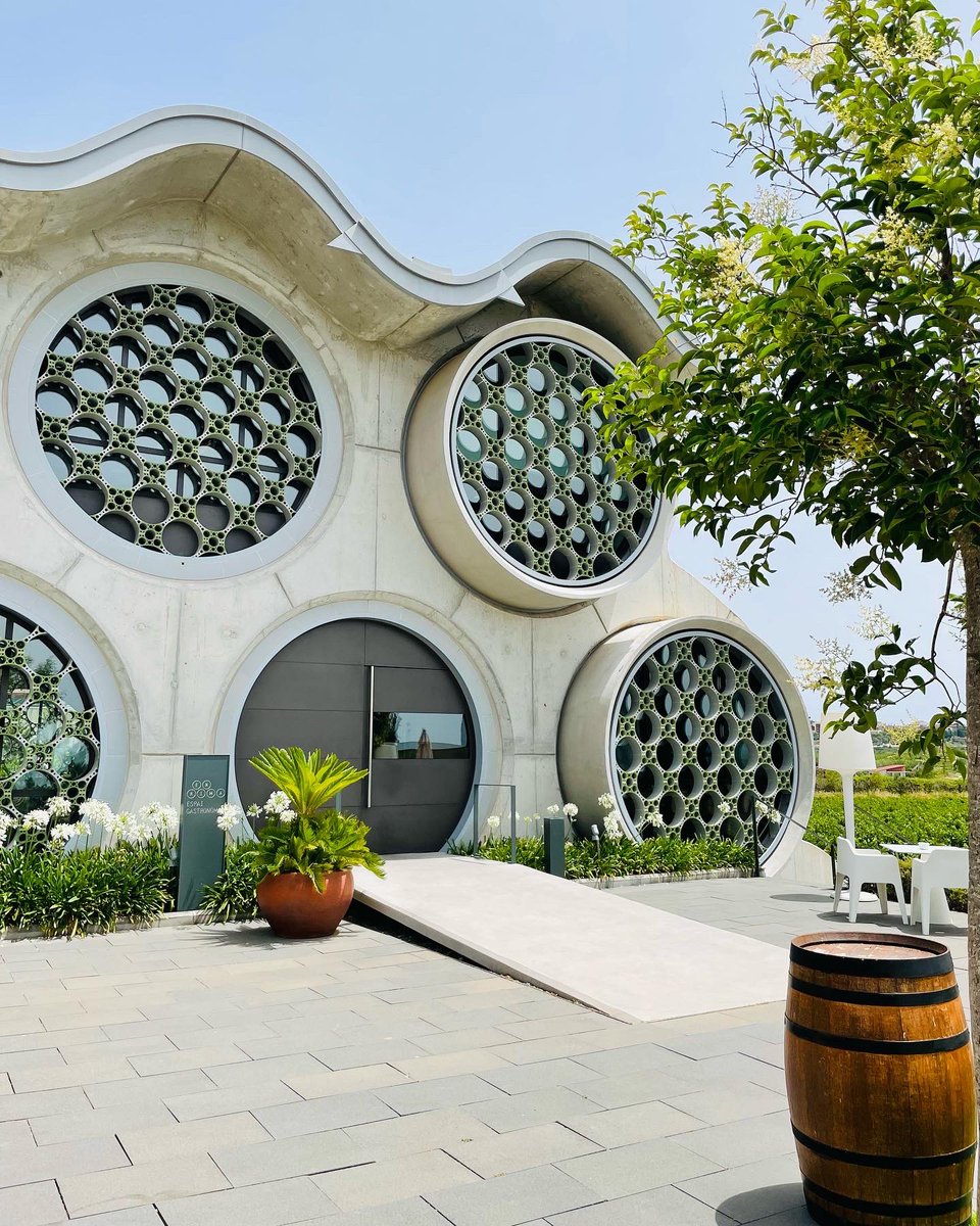 mptonnesen's tweet photo. It’s holiday time &amp; #TheCosmopolitanIslander is #exploring 🤩 First up a #winery tour with #cava &amp; wine tasting in the beautiful #Penedès! 
Which #adventures await you this summer?
#Travel with Chloe in this #awardwinning read ⭐️
https://t.co/9A0c9FvAFl

#BookTwitter #amreading https://t.co/OMTUa1DHVw