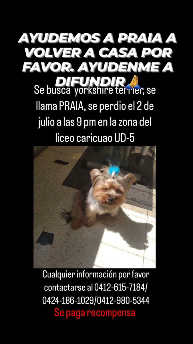Emycas71's tweet photo. Aquí la información más detallada https://t.co/EVUh3ZvVAy