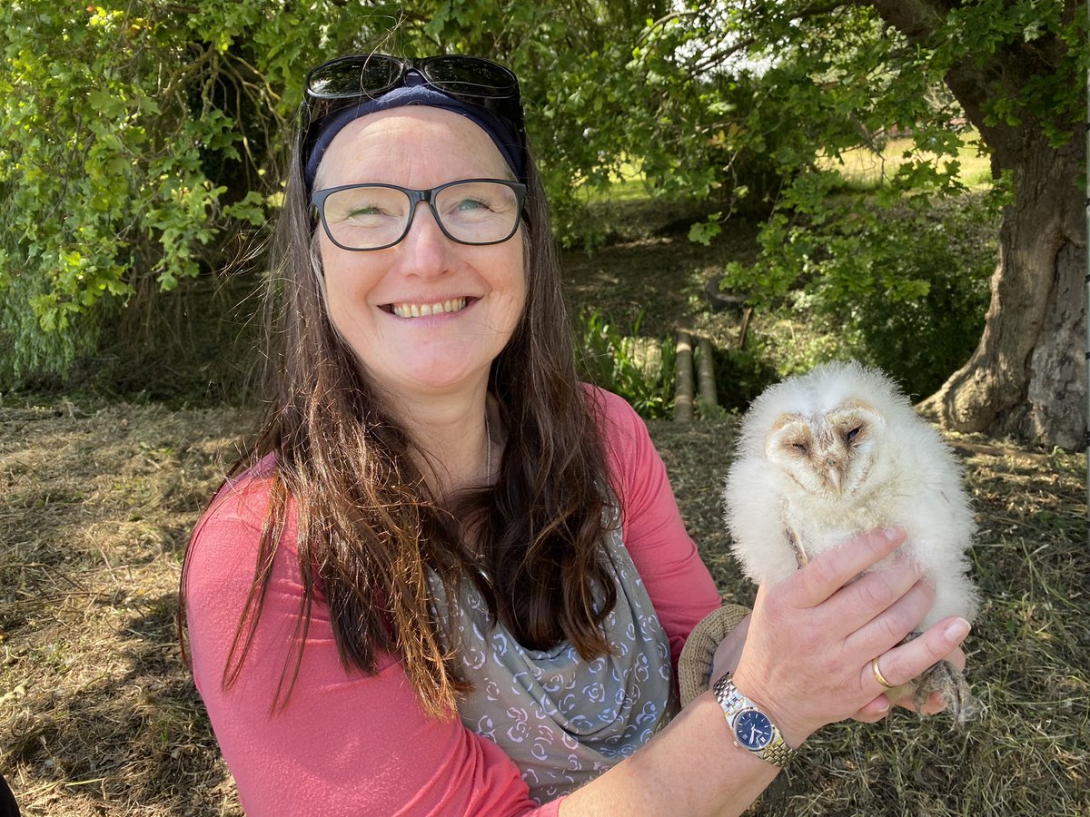 MisterIanP's tweet photo. We enjoyed the amazing privilege last week of helping ring 6 Barn Owl chicks with @DPearsons @JustZant @ezany2000 @NatureDanZant So fantastic to welcome new life to the Suffolk countryside made possible by the Suffolk Barn Owl Project. https://t.co/no2a3HjIw1