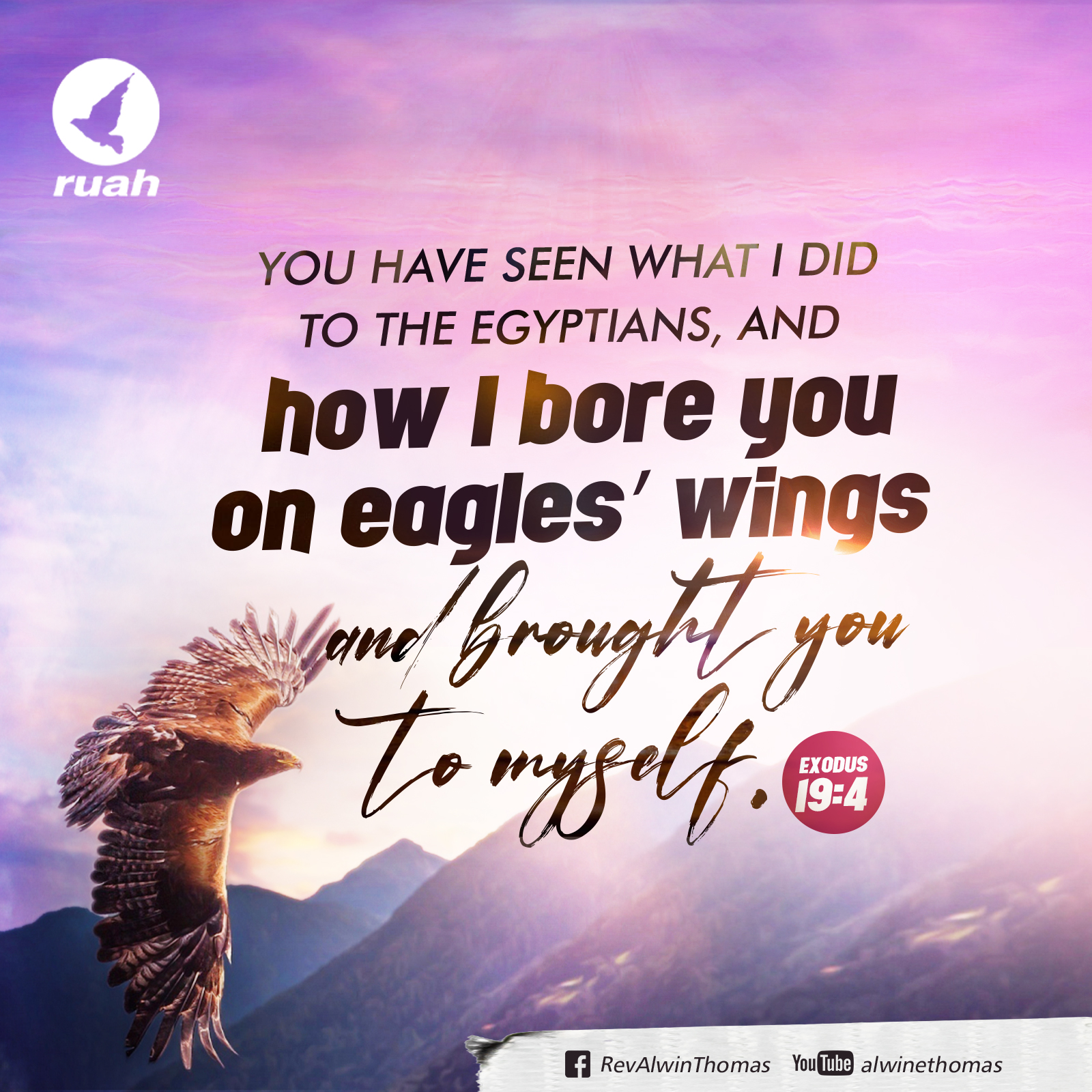 Alwin Thomas on X Exodus 19 4 You have seen what I did to the Egyptians and how I bore you on eagles wings and brought you to Myself. dailyverse dailymanna dailybread dailyquotes