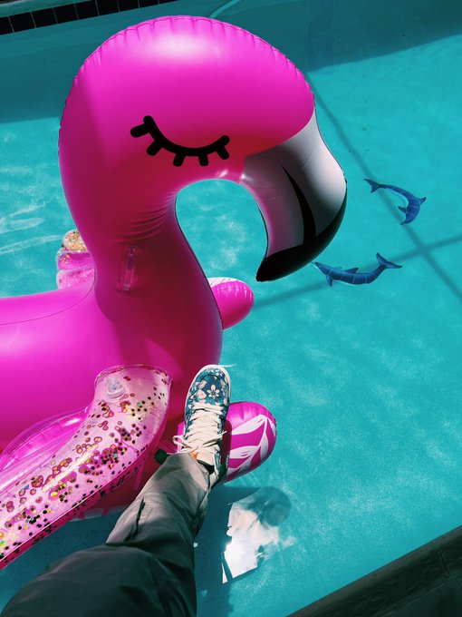 POV-UNCUT 🦩   Tell me you&rsquo;re in Florida without telling me you&rsquo;re in Florida 😎 https://t.co/X40p0m4U<a href="/tag/juneteenth2022"class="tags"><span>#juneteenth2022</span></a>