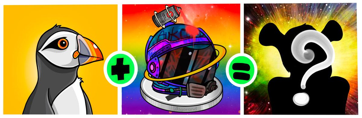 PoppinPuffins's tweet photo. AUK AUK Read all about it 

All Puffins shuffled, held and not listed at 11:59pm EST on July 25th will receive a free Algo helmet! 

These will allow your Puffin to board the N.A.S.AUK Poppin Rocket for a special mission to our Auroras that may change your Puffin forever. https://t.co/e5IztH5qEB