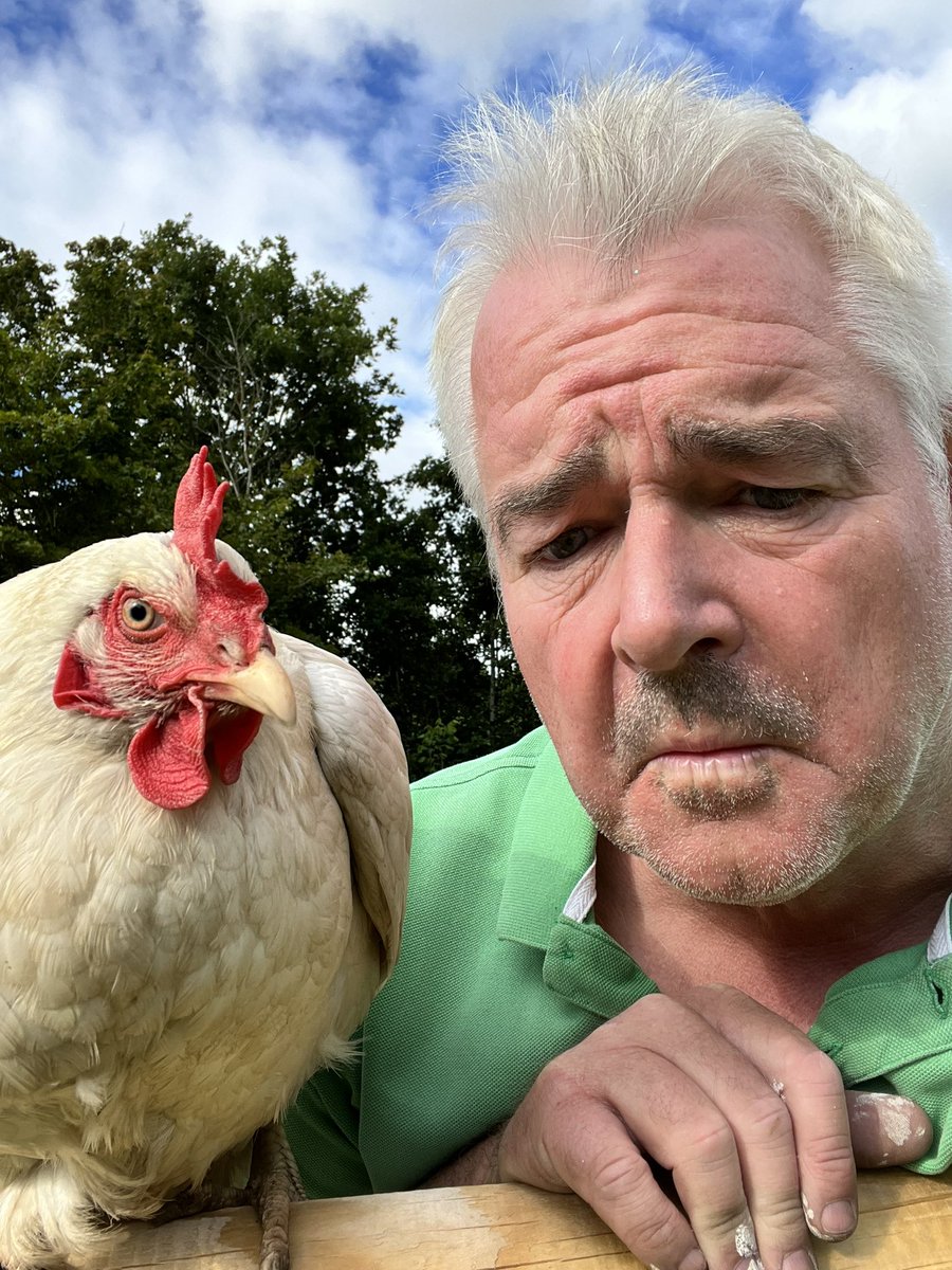 Tim Andrews MBE tweet media