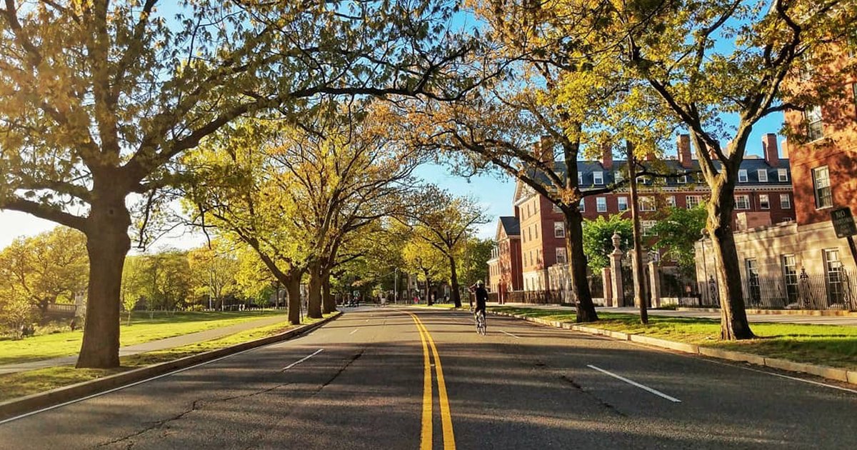 MIT Health tweet media