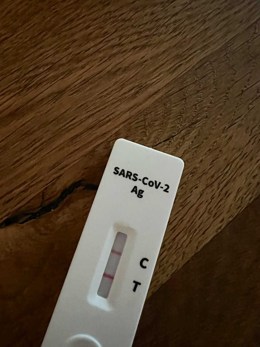 Magdalena Rogl tweet media