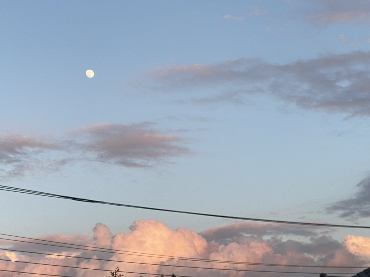 _interior_ym's tweet photo. 小学生の頃好きな色を2色使って作品を作る授業で選んだ色。周りの子には趣味が悪いと言われたがブレずに今も好きな組み合わせです。
6月の終わりの夕方とお気に入りのインドで縫われたカンタ布のラグ。

#色の記憶 https://t.co/6Sy7ls7ovO