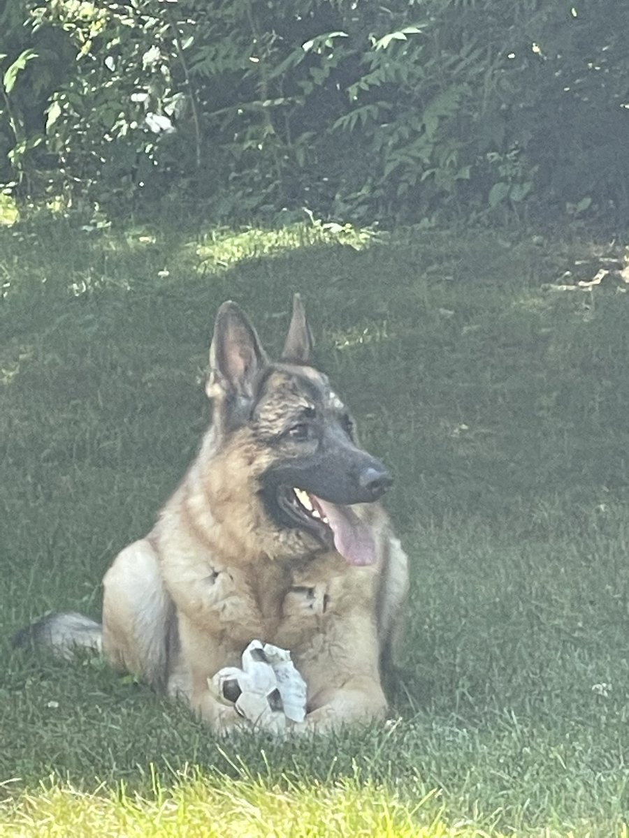Sun, Swimming, Ball.  Life is Gud Frens ⚽️☀️🎊💙🤘