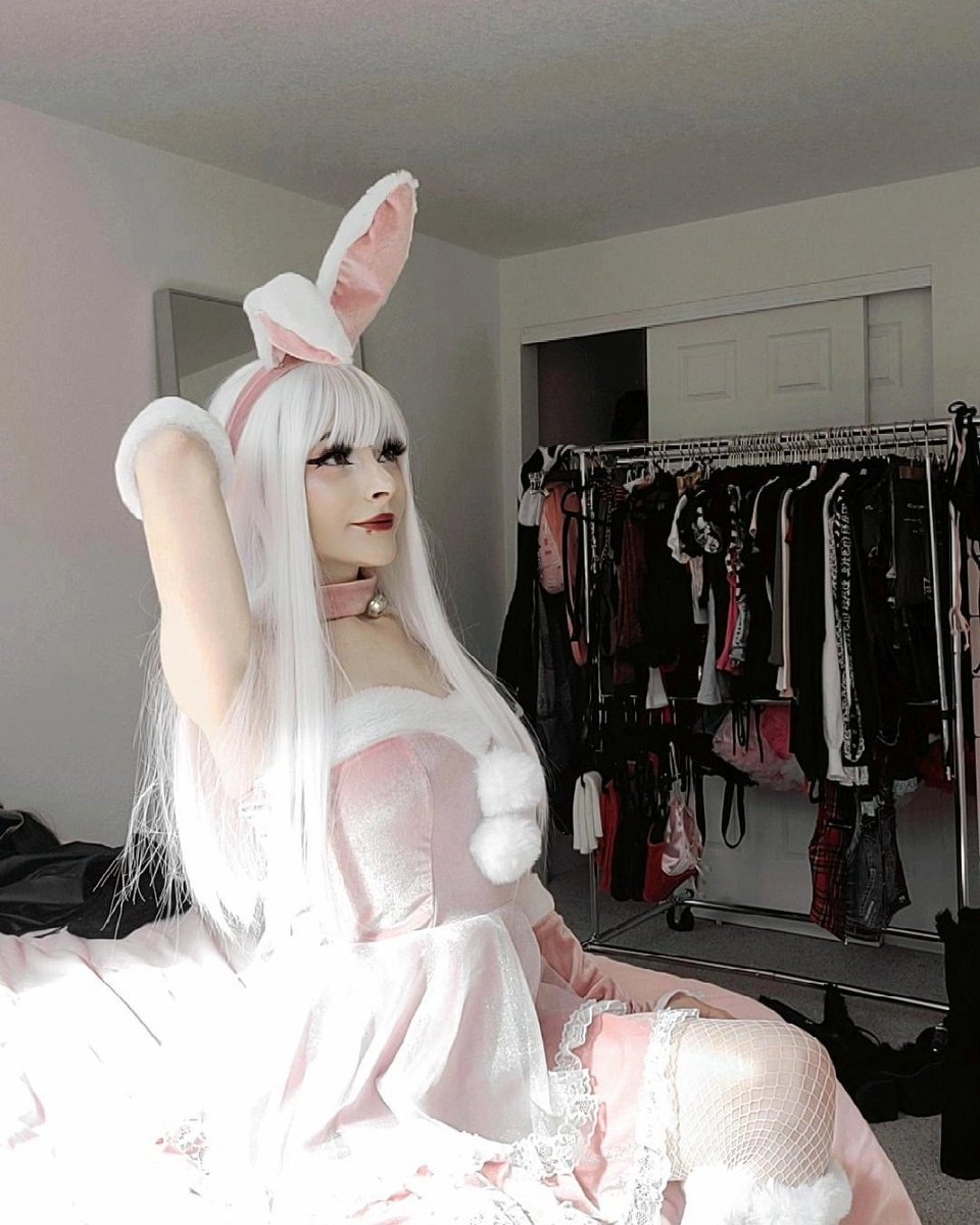 Corpse Kitten tweet media