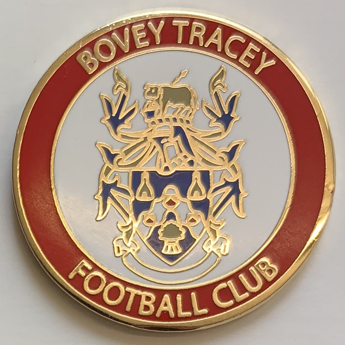 New for Bovey Tracey FC.