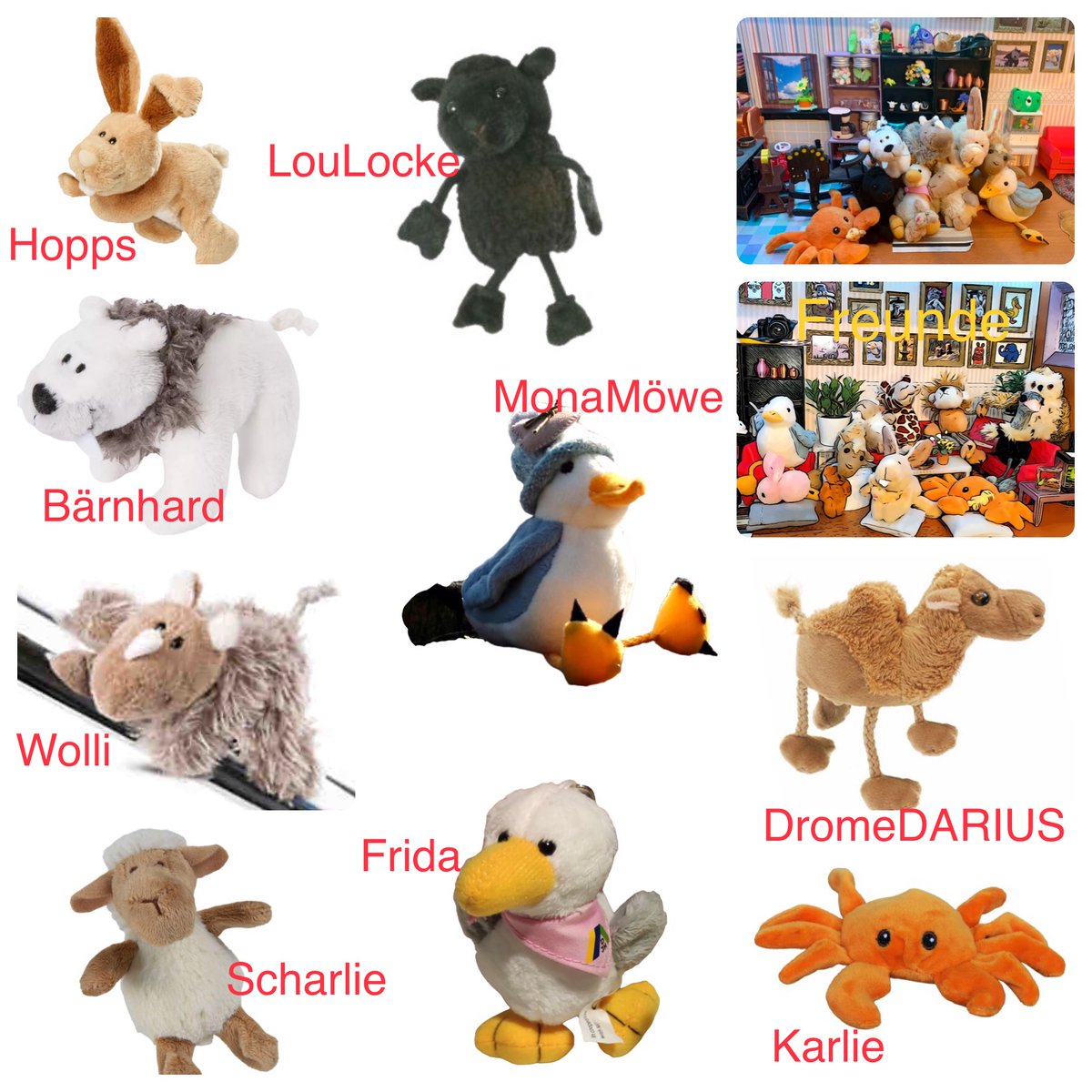 MonaMöwe, die Plüschbande🐪🐑🦀🐑und Gäste tweet media