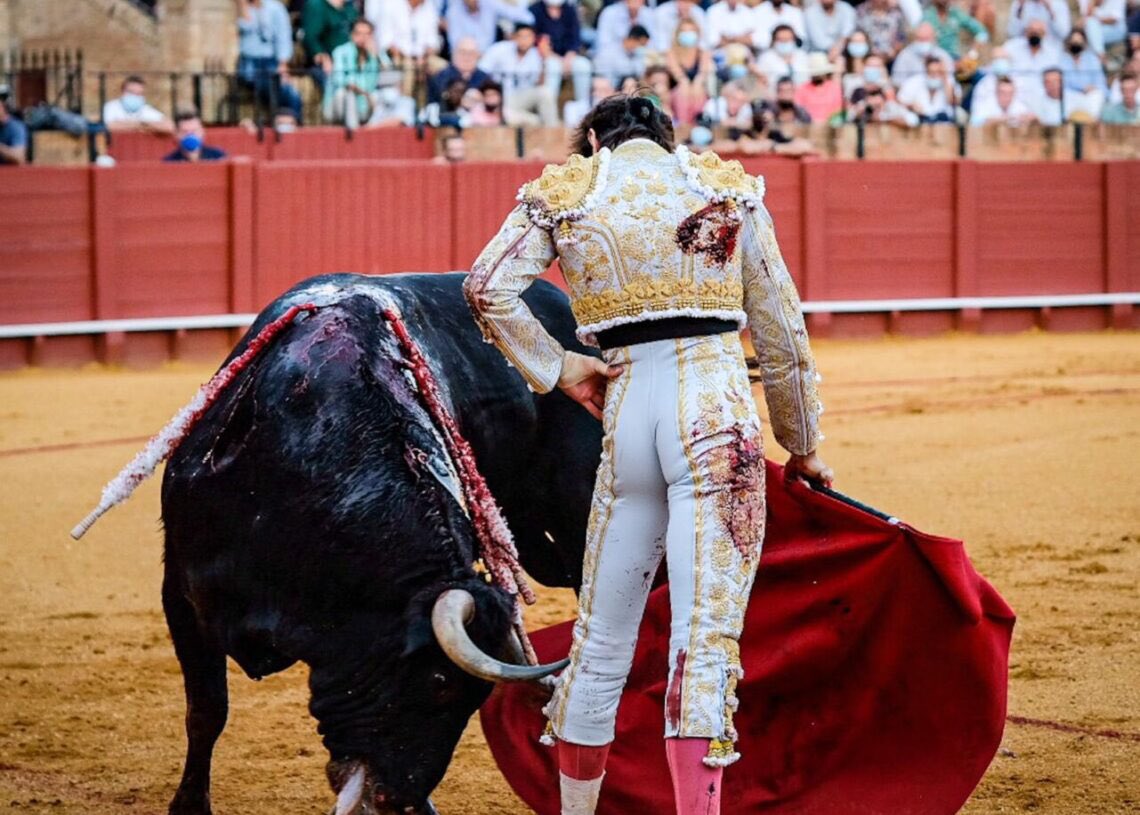 EsenciaToreo's tweet photo. Nunca voy a saberlo que es meter un gol en el Bernabéu. Pero sí te puedo decir lo que se siente pasarte un toro con dos puntas y de 600 kilos en Las Ventas de Madrid. No te lo puedes imaginar. No quieres que termine. Quieres que se convierta en eterno’.
Roca Rey https://t.co/cr1Y4xesJw