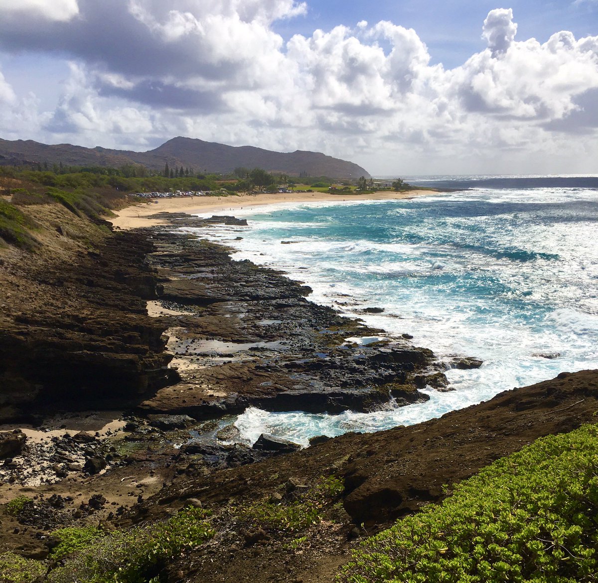 wilson_phyllis's tweet photo. #LifeInLonghand - Day 5 of 7 - spent the day with some of my favorite people on an Island Tour on Oahu - Living Life a little slower @MG_SmithT https://t.co/BmmlLJa1wI