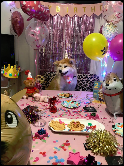 Tom Cruise ( Happy birthday, Tom Cruise I hope you have a happy birthday party like mine. 