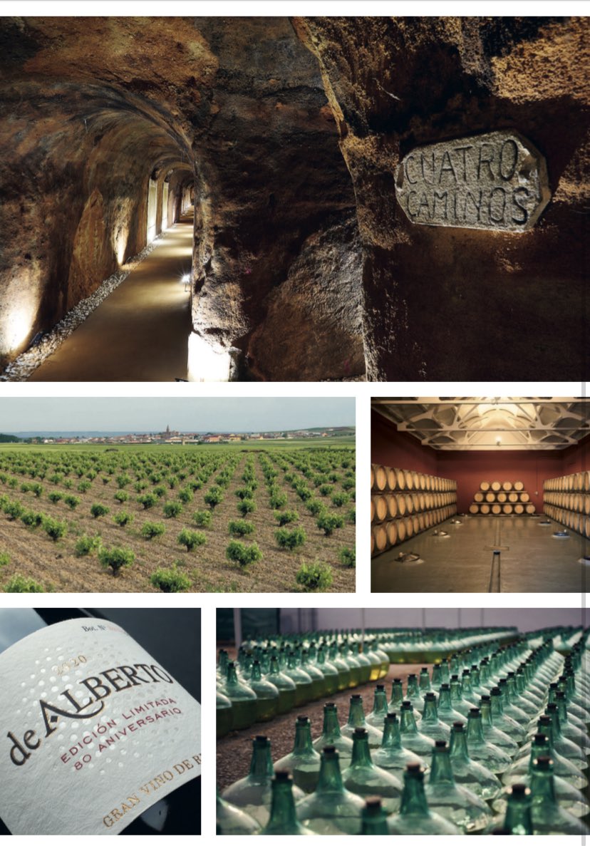 BdeAlberto's tweet photo. Terminamos semana y comenzamos el mes de julio con una gran noticia. ¡Somos bodega ejemplar! Así nos reconoce la revista @Mi_Vino de este mes. Estamos muy contentos de poder compartir nuestro éxito con vosotros. #DeAlberto #SienteElDorado https://t.co/j3oNPyMMEm