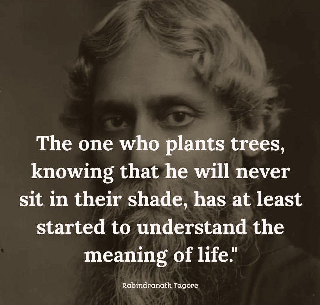 "El que planta árboles, sabiendo,
que nunca se sentará
a su sombra,
al menos
ha comenzado
a comprender,
el significado
de la vida".

~Rabindranath Tagore~