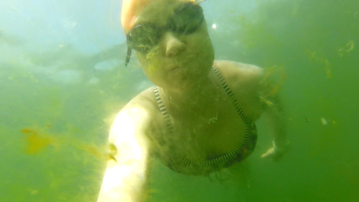 Lake Geneva swimming. #lakegenevawi  #openwaterswimming #pier104