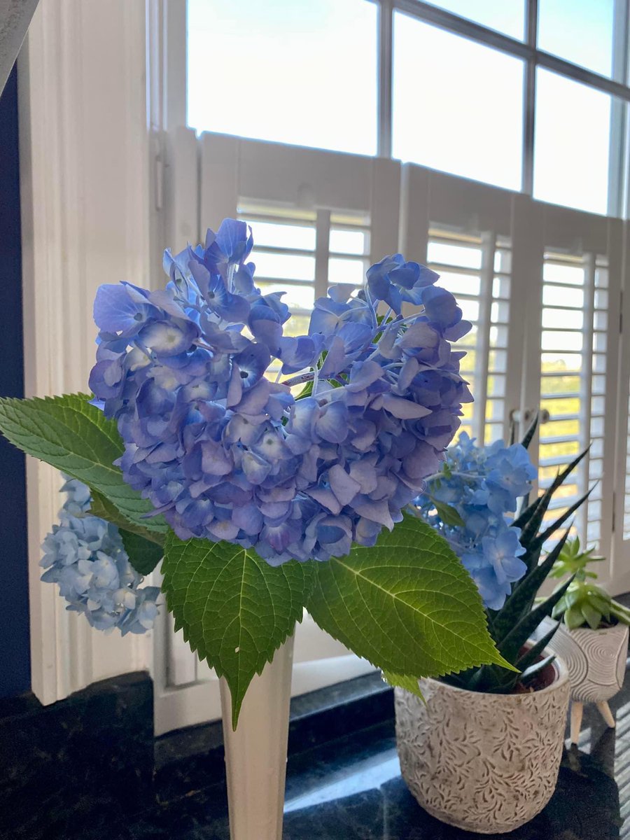 Thank you <a href="/JAMMFfangirl/">LMP</a> for sharing the love 💜 #wholelottalovepeakers 
#itstartswithaheart 
#peakerlove
#findingloveeverywhereyoulook
#mypeakchallenge
#samheughan