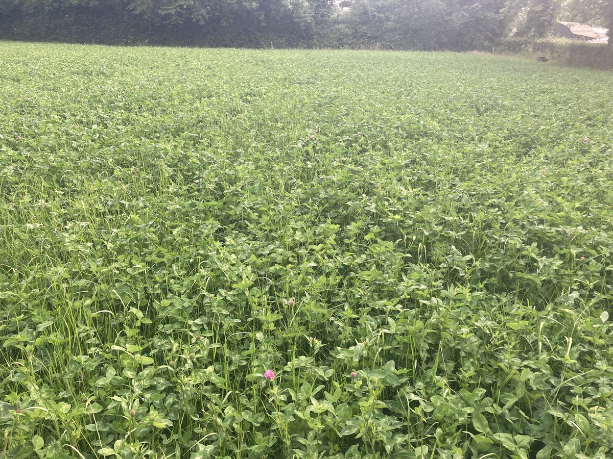 Catherine tweet media