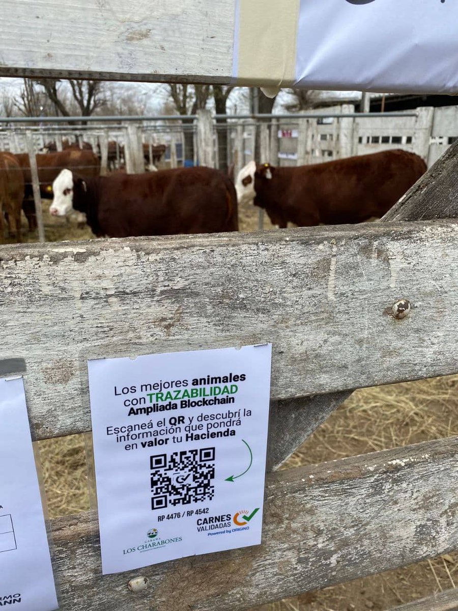 𝟱° 𝗚𝗿𝗮𝗻 𝗥𝗲𝗺𝗮𝘁𝗲 𝗱𝗲 𝗹𝗮 𝗖𝗮́𝗺𝗮𝗿𝗮 𝗱𝗲 𝗖𝗮𝗯𝗮ñ𝗮𝘀 𝗦𝗮𝗻𝘁𝗮𝗳𝗲𝘀𝗶𝗻𝗮𝘀

🐂 Acompañando a Cabaña Los Charabones con animales tokenizados mediante trazabilidad ampliada blockchain🔗Animales identificados con QR Identeco e Identeco Trupo🐂🐂🐂