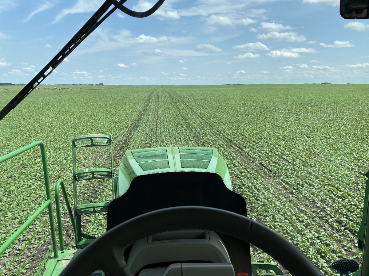 wdf903's tweet photo. 340P doing its thing! ⁦@dcwilson16⁩ ⁦@portesky⁩ ⁦@BASFCanada⁩ https://t.co/T43U8UQdFp