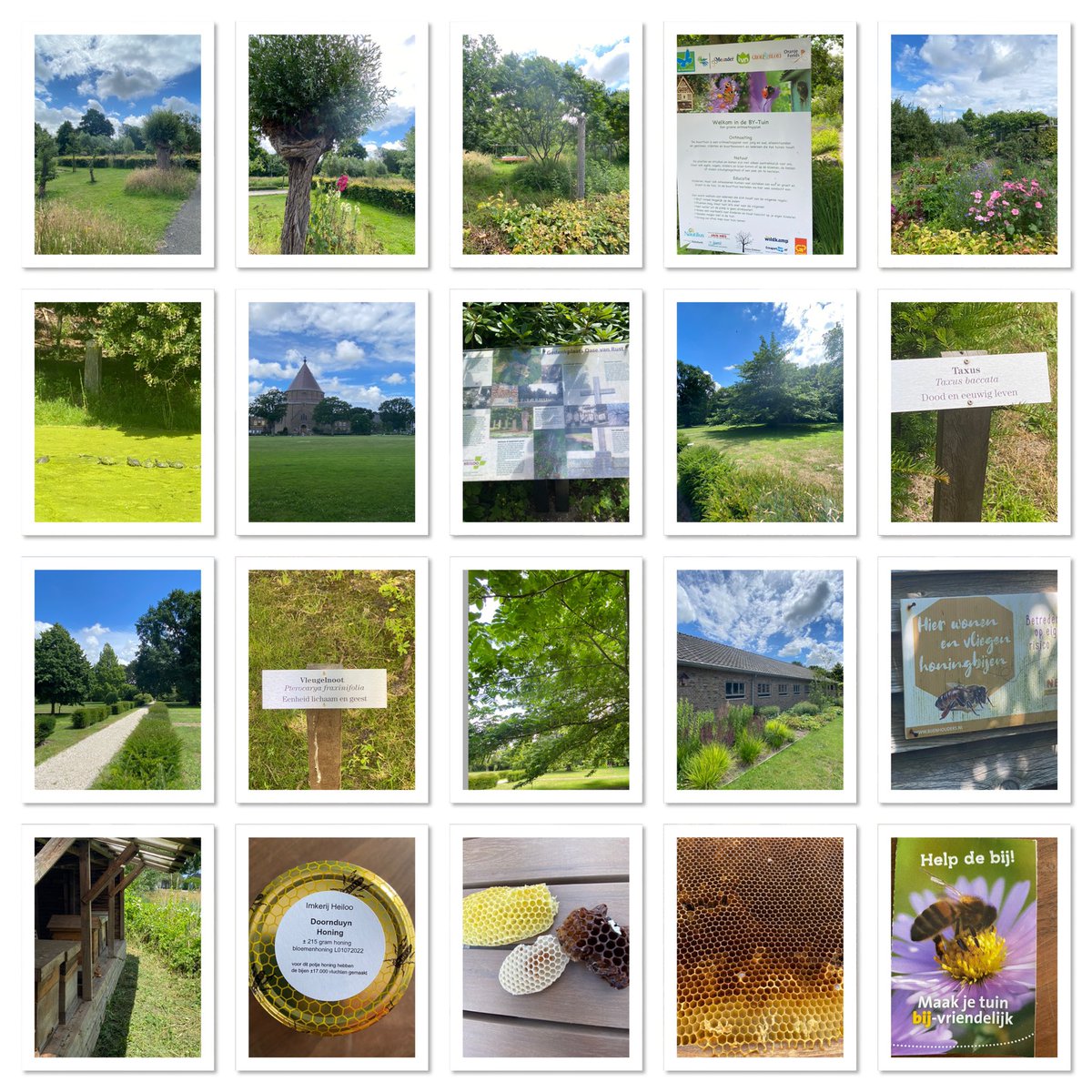 Vandaag een heel gezellig en leerzaam zomeruitje gehad met de #Soroptimistclub #Alkmaar op het prachtige #LandgoedWillibrordus in #Heiloo. Eerst hadden we een rondleiding van een enthousiaste en terecht trotse vrijwilliger en daarna een “lezing” van 2 imkers van #ImkerijHeiloo.